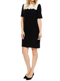 Marks & Spencer Plus Size Black Panelled Short Sleeved Shift Dress Original Pric
